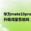 华为mate10pro可以升级鸿蒙吗（华为matepad10.8可以升级鸿蒙系统吗）