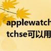 applewatchse是否可以使用微信（applewatchse可以用微信吗）