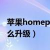 苹果homepod怎么升级（苹果HomePod怎么升级）