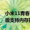 小米11青春版支持内存扩展么（小米11青春版支持内存扩展么）