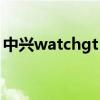 中兴watchgt（中兴WATCHGT有什么功能）