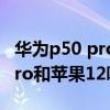 华为p50 pro对比iphone12pro（华为P50Pro和苹果12哪个好）