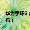 华为手环6 pro测评（华为手环6什么时候发布）