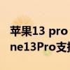 苹果13 pro max王者荣耀120帧测试（iPhone13Pro支持原神120帧吗）