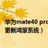 华为mate40 pro如何更新鸿蒙系统（华为mate40pro怎么更新鸿蒙系统）