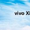 vivo X80标准版渲染图（vivo）