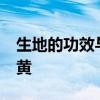 生地的功效与作用 清热凉血第一药——生地黄