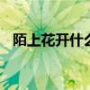 陌上花开什么意思 陌上花开，可缓缓归矣