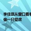 李佳琪从窗口看着张韶涵，就像一只壁虎——李佳琪看起来像一只壁虎