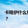 卡哇伊什么意思 在，“卡哇伊”究竟是什么？