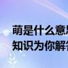 萌是什么意思 “萌”在哪里？有趣的心理学知识为你解答