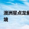 澳洲星点龙鱼怎么养？澳洲星点龙鱼的生存环境