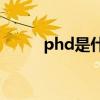 phd是什么意思(phd是什么专业)