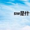 sw是什么(sw代表中文什么意思)