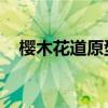 樱木花道原型 樱木花道的原型原来是他！