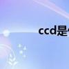 ccd是什么(画质最好ccd相机)