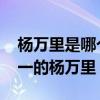 杨万里是哪个朝代的诗人？ 中兴四大诗人之一的杨万里！