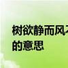 树欲静而风不止意思 树欲静而风不止这句话的意思