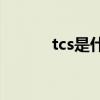 tcs是什么意思(tcs软件怎么用)