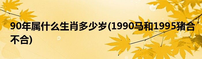 90年属什么生肖多少岁1990马和1995猪合不合