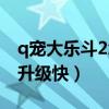 q宠大乐斗2怎么获取装备（q宠大乐斗2怎么升级快）