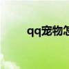 qq宠物怎么关（qq宠物怎么删除）