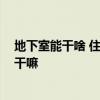 地下室能干啥 住宅地下室可以做什么 住宅地下室可以用来干嘛 