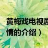 黄梅戏电视剧黄山情（关于黄梅戏电视剧黄山情的介绍）