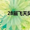 28届飞天奖（关于28届飞天奖的介绍）