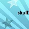 skull1（关于skull1的介绍）