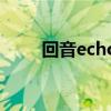 回音echo（关于回音echo的介绍）