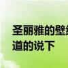 圣丽雅的壁纸怎么样 优丽雅特壁纸怎么样知道的说下 