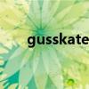 gusskater（关于gusskater的介绍）