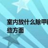 室内放什么除甲醛 室内空气除甲醛有哪些好办法 要注意哪些方面 