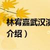 林宥嘉武汉演唱会（关于林宥嘉武汉演唱会的介绍）