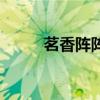 茗香阵阵（关于茗香阵阵的介绍）