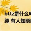 bttz是什么电缆什么地方用 BTUGT是什么电缆 有人知晓的吗 