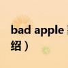 bad apple 歌词（关于bad apple 歌词的介绍）