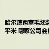 哈尔滨两室毛坯装修需要多少钱 哈尔滨毛坯房装修多少钱一平米 哪家公司会好点 