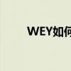 WEY如何成为智能安全成至臻之选