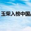 玉柴入榜中国战略性新兴产业领军企业100强