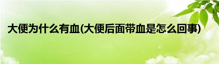 大便為什麼有血大便後面帶血是怎麼回事