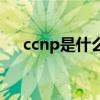 ccnp是什么（关于ccnp是什么的介绍）