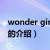 wonder girls先艺（关于wonder girls先艺的介绍）