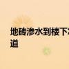 地砖渗水到楼下怎么办 地砖往楼一下漏水怎么解决 哪位知道 