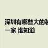 深圳有哪些大的装修公司 最好的装修公司在深圳宝安区是哪一家 谁知道 