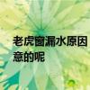 老虎窗漏水原因 想请问屋顶老虎窗会漏水吗 有哪些值得注意的呢 