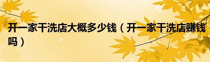 1,現在開小型乾洗店是比較賺錢的,一般小型乾洗店清洗一件衣物的收費