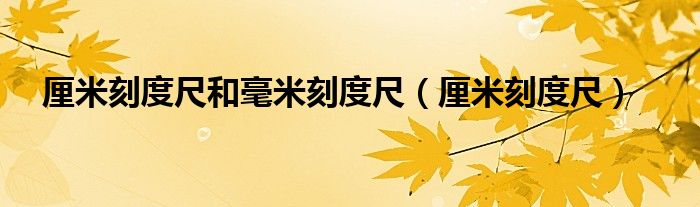 釐米刻度尺和毫米刻度尺(釐米刻度尺)_百城生活網