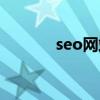 seo网站设计（seo网站系统）